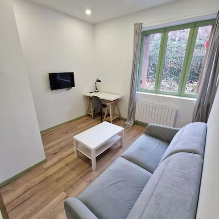 T1 Bis 1 Chambre Saint-Etienne  Buitenkant foto