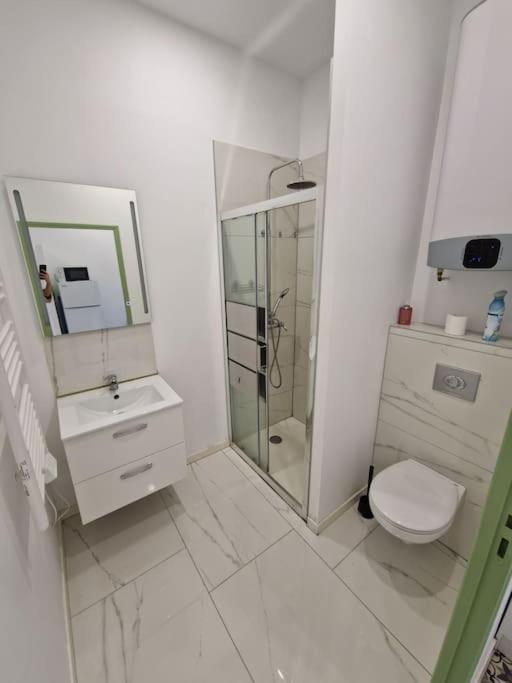 T1 Bis 1 Chambre Saint-Etienne  Buitenkant foto